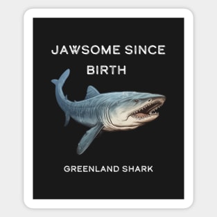 Greenland Shark Pun Sticker